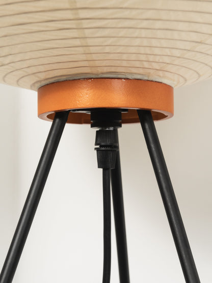 Akari Series Floor Lamp